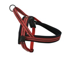 Dogs Creek Norwegisches Geschirr CONTROL rot M
