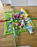 Fisher-Price Spieldecke mit Spielbogen