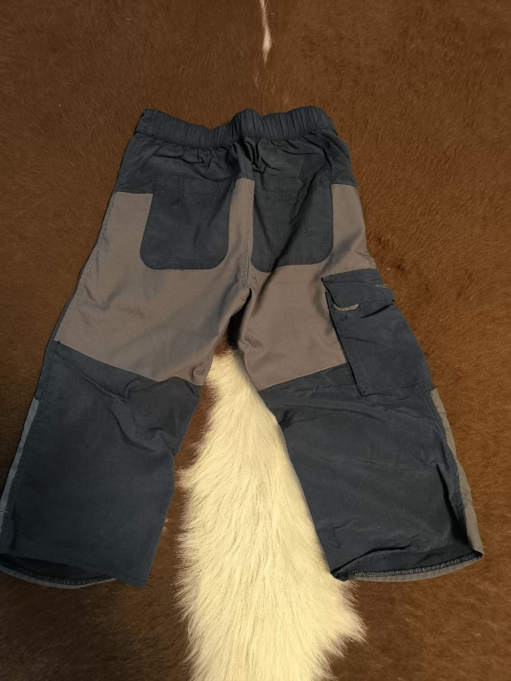Jako-O Pantaloni: Jako-o Shorts Grösse 134 – Nuovo (secondo la descrizione) da Bichwil venduto da Betzgi0 1