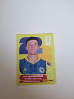 Panini Sticker WM 2026 BIH5 Tarik Muharemovic
