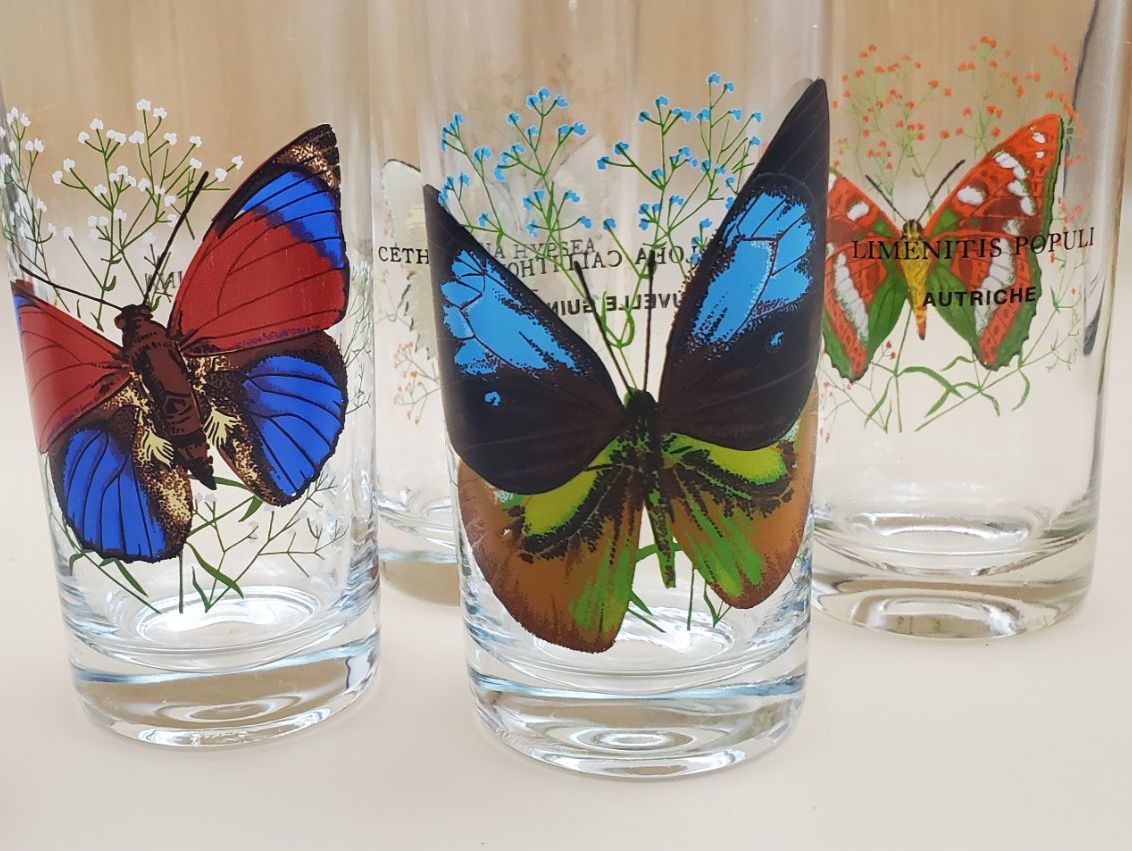Bicchieri: 7 verres collection papillons du monde – Usato da Rennaz venduto da La_malle_du_dauphin 1