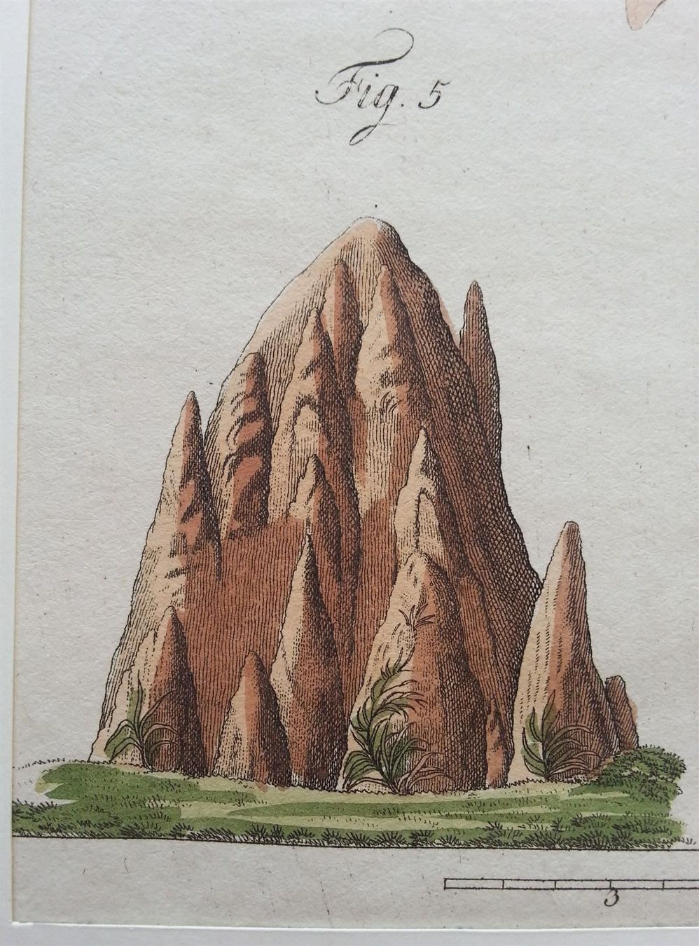 Incisioni: Kupferstich Termiten, J. X. Schmuzer, um 1790 – Usato da Oberriet SG venduto da ganesh435