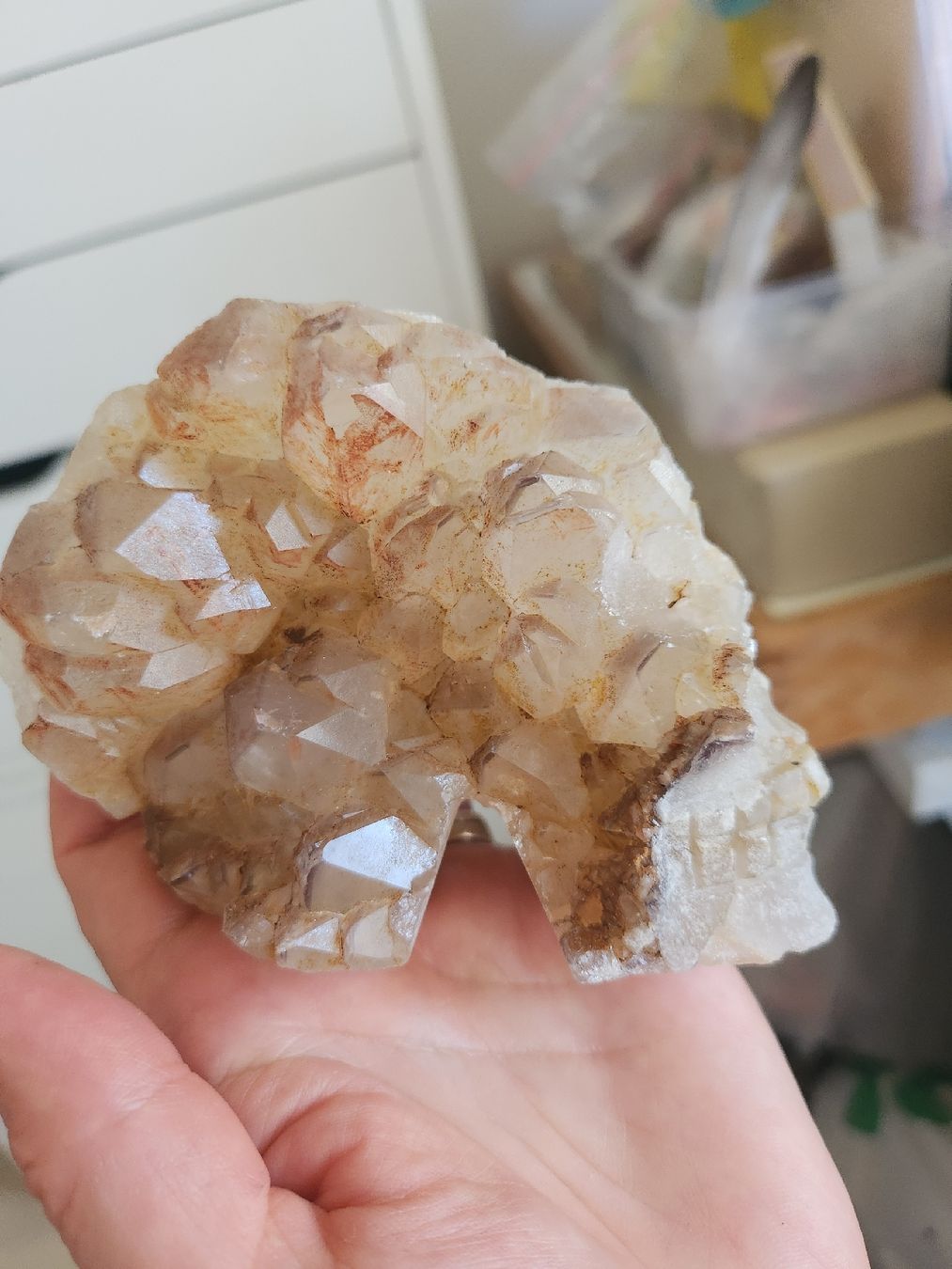 Tutte le decorazioni: crâne de cristal de roche  – Nuovo e nell'imballaggio originale da St-Livres venduto da SilkeC 1