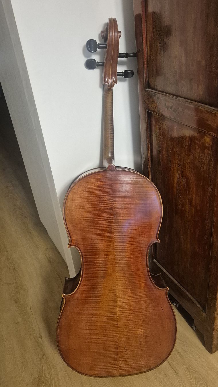Strumenti musicali: Cello zu Verkaufen – Usato da Rämismühle venduto da beni0010 5
