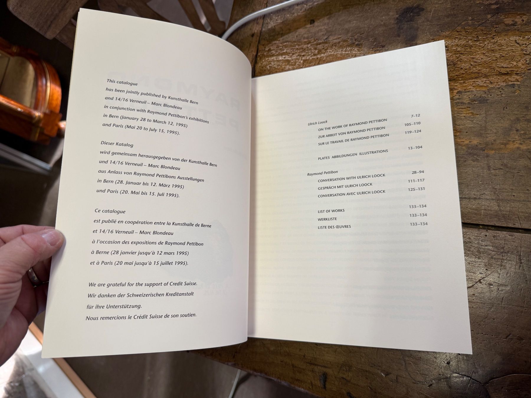 Libri: Raymond PETITBON Kunsthalle Bern 1995 – Usato da Bern venduto da Jwpm66 1