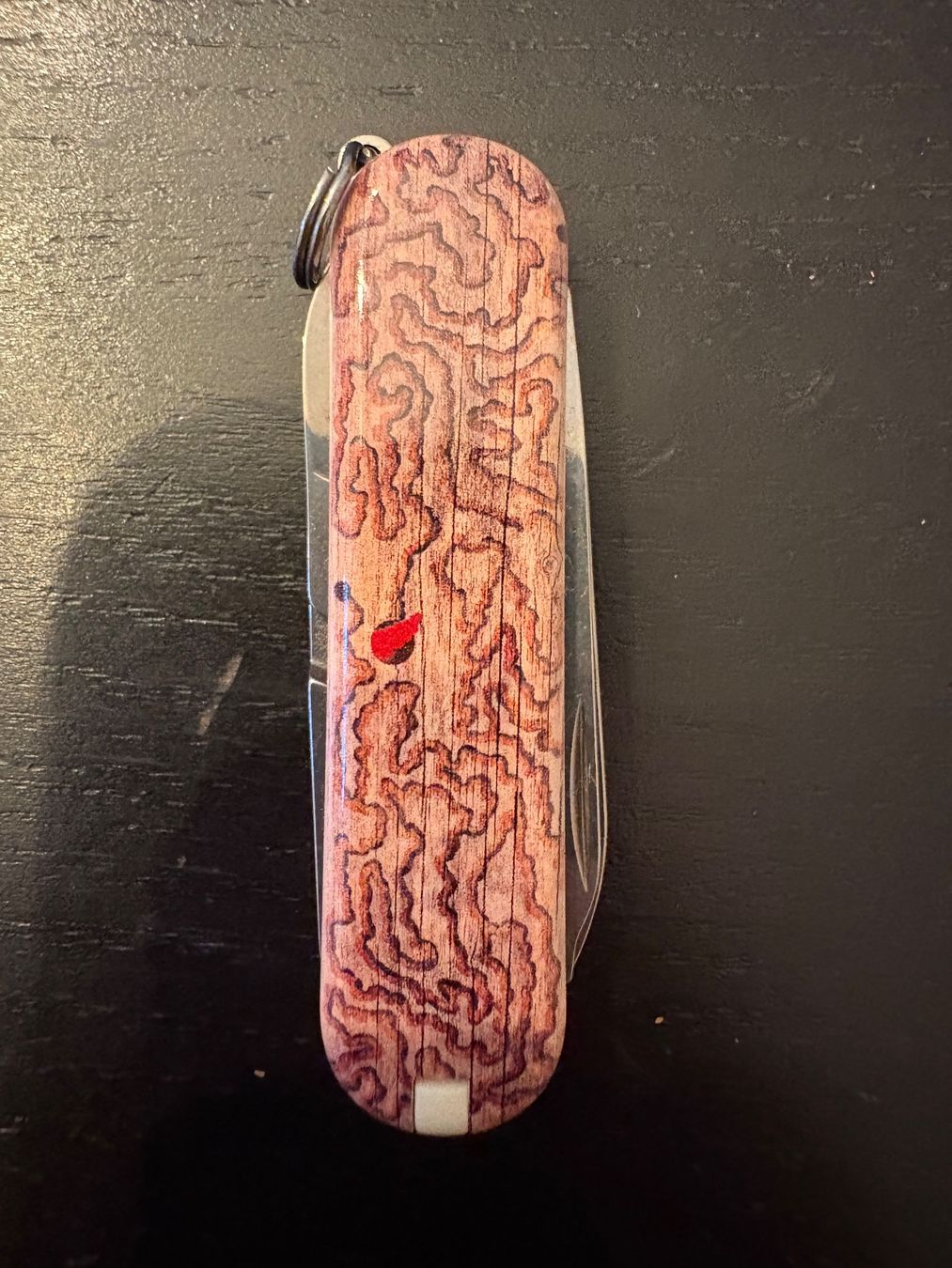 Victorinox Coltelli tascabile: Victorinox Classic SD LE2017 "Wood Worm" – Nuovo (secondo la descrizione) da Prosito venduto da GntStr 1