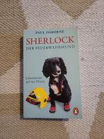 Sherlock der Feuerwehrhund