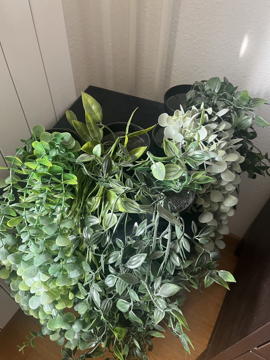 Tutte le decorazioni: Decorations – Usato da Zürich venduto da 2cn_t6yr