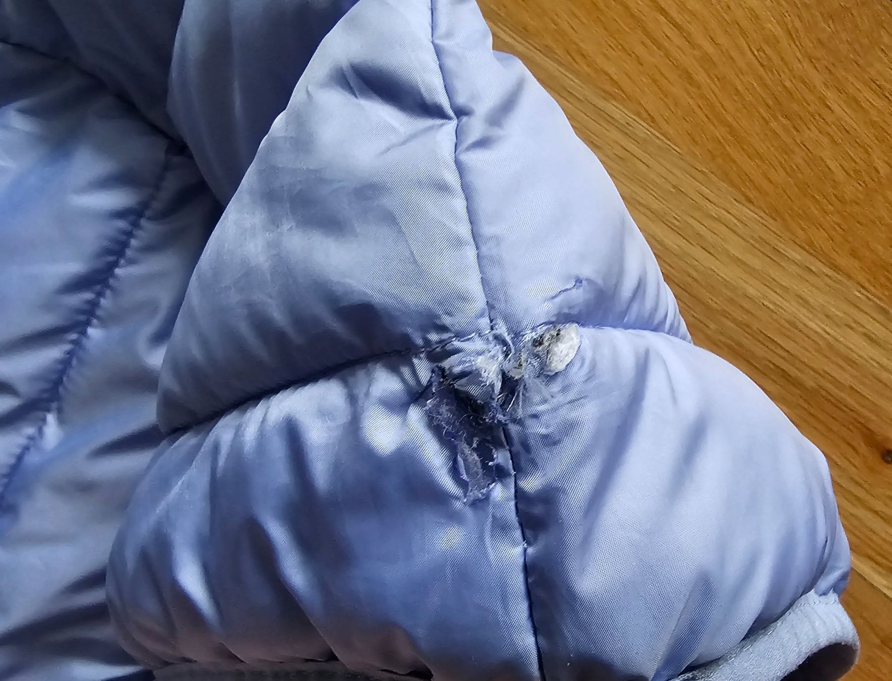Zebra Jacken: Doudoune bleu ciel - Zebra - Taille L – Defekt aus Court von Jovi2 9