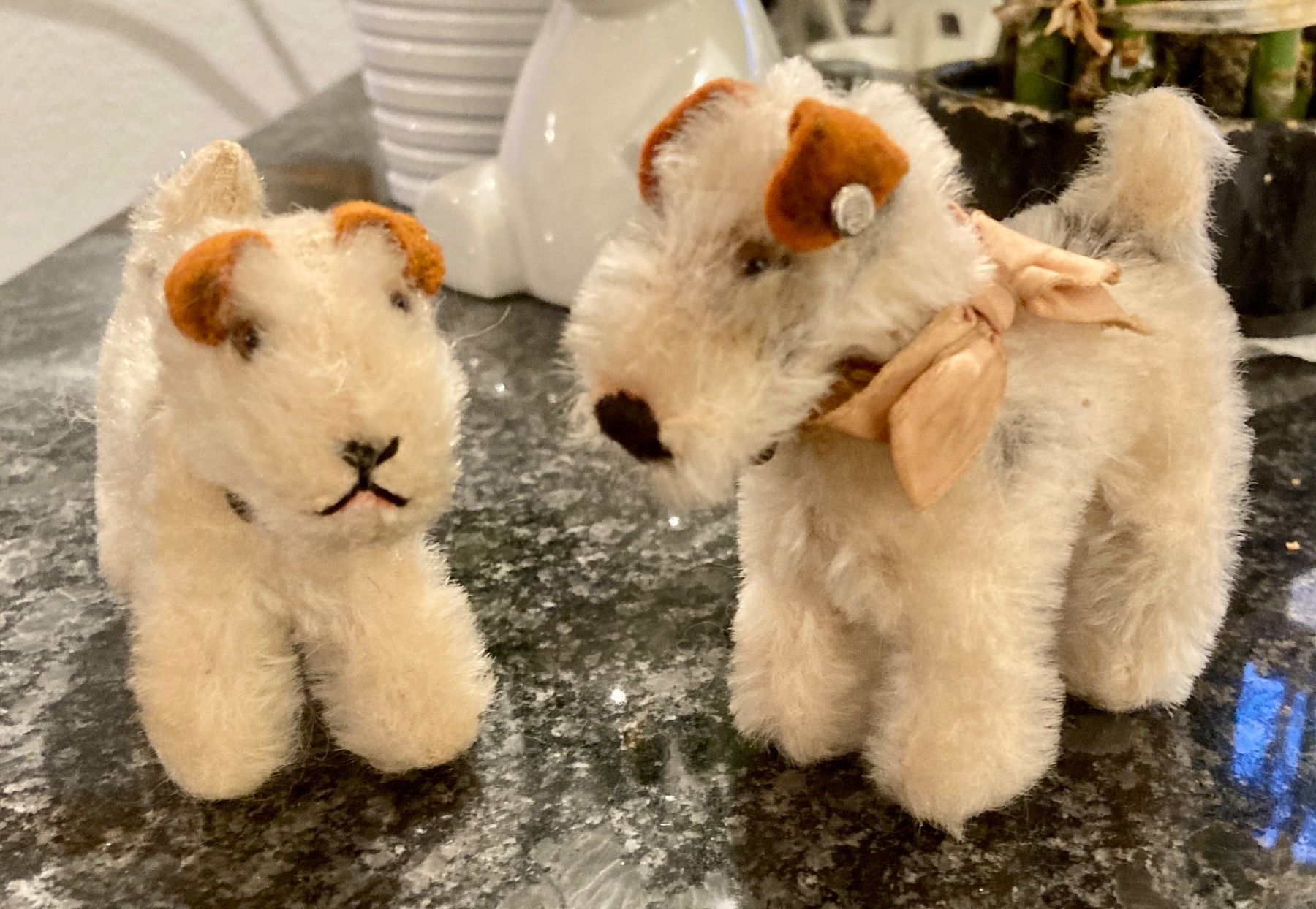 Steiff Giocattoli: 2 Foxterrier mit Glöcklein - antik Steiff – Usato da Rütihof venduto da Kelani
