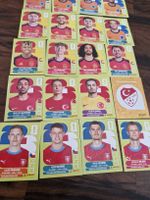 panini set