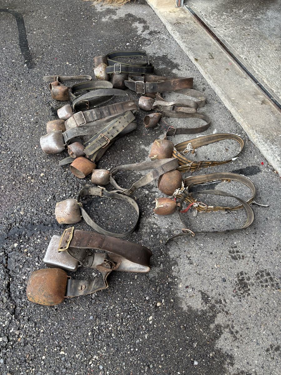 Campanacci mucche: 20 Stk Rindertreicheli – Difettoso da Schangnau venduto da Roseggli82