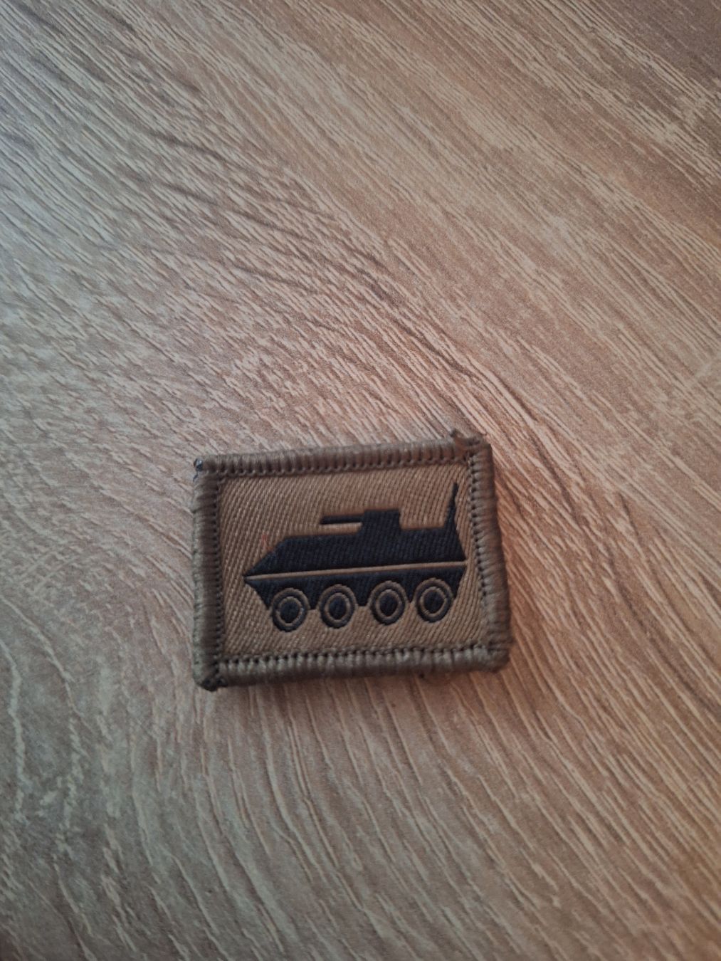 Armée suisse Plaquettes & Badges: Funktionsabzeichen – Neuf (Voir description) à Donat par Lacvers