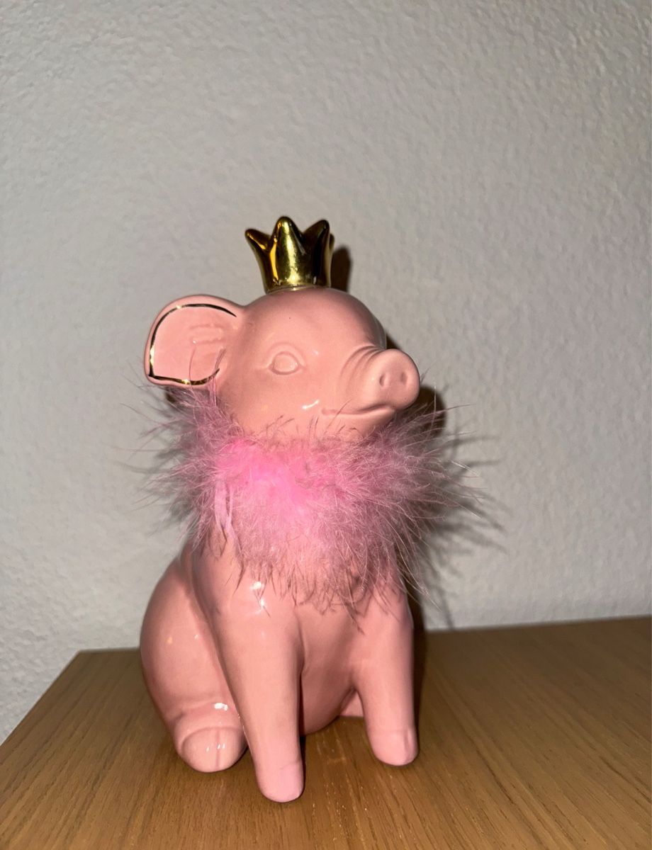 Spardosen: Sparschwein – Gebraucht aus Effretikon von ajl_rwt5