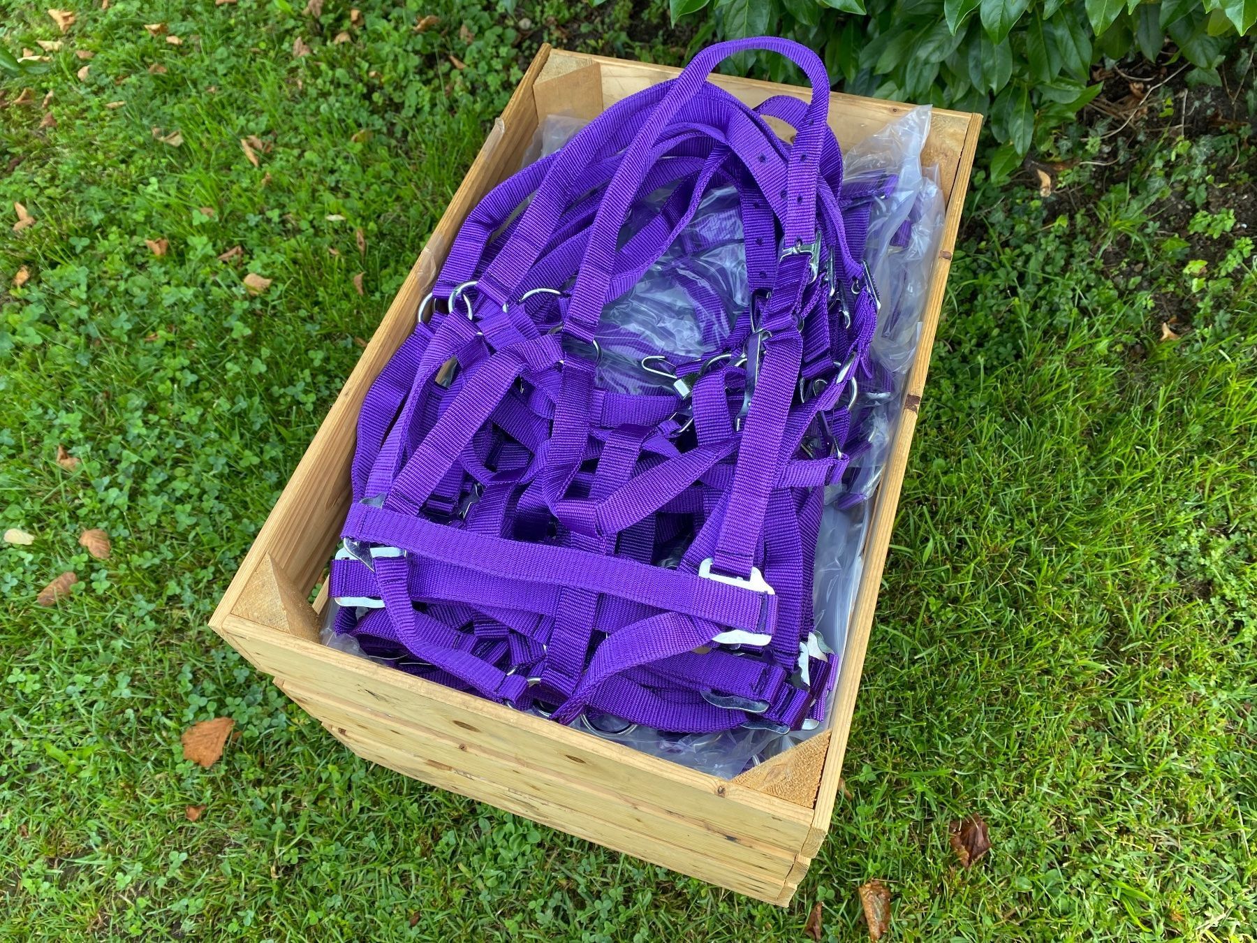 Briglie & Cavezze: 50 schöne Nylonhalftern – Usato da Feldbach venduto da Fea1 3