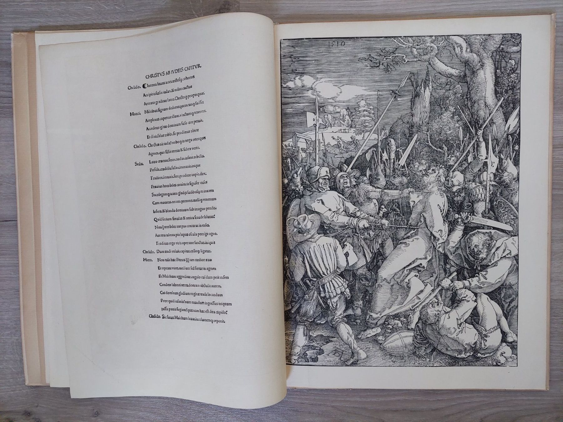 Libri: Die grosse Passion von Albrecht Dürer - Holzschnitte – Usato da Obfelden venduto da Foto_Bild_Kunst_Buch 5