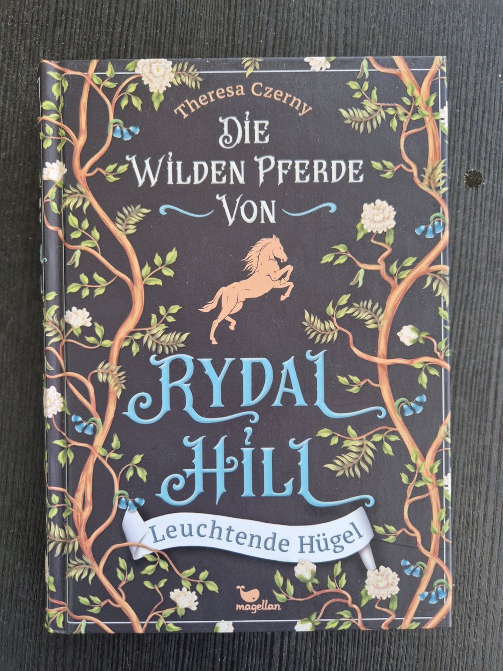Libri: 5 Bände verschiedene Pferdebücher – Nuovo (secondo la descrizione) da Würenlos venduto da sul_cm8q 3