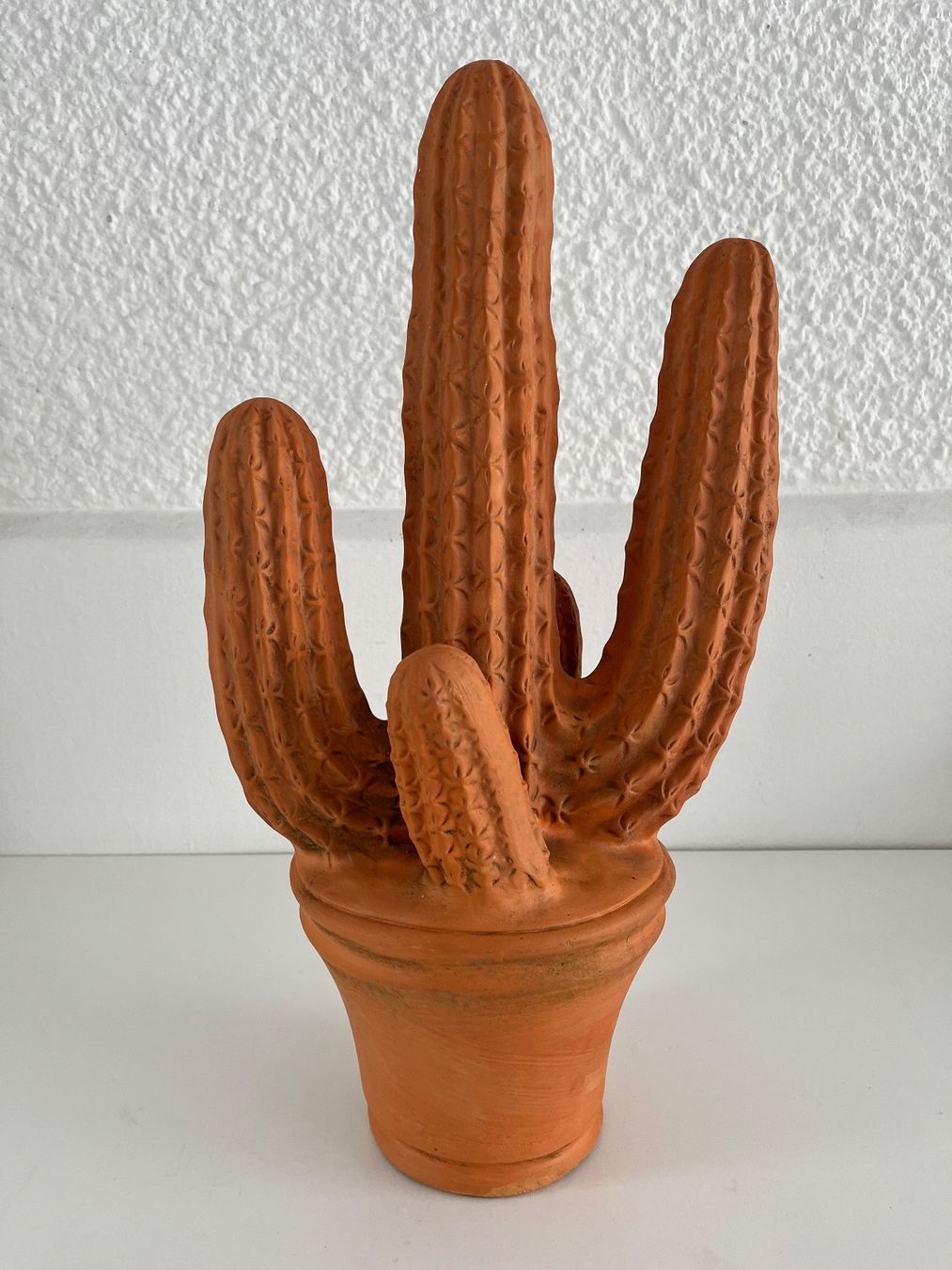 Tutte le decorazioni: Kaktus aus Terracotta – Usato da Wetzikon ZH venduto da seli03 4