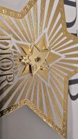 Dior Sammler Pin