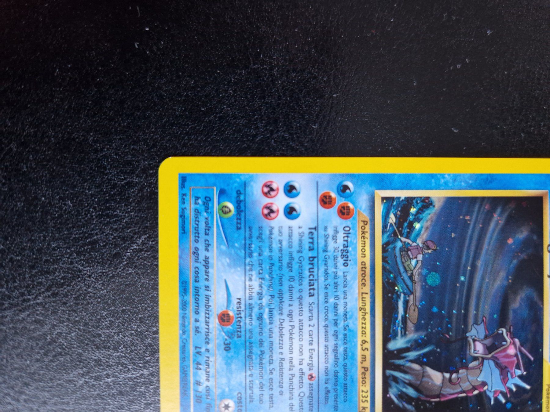 Pokémon Carte collezionabili: Shining Gyarados neo revelation – Nuovo (secondo la descrizione) da Giubiasco venduto da MrGru1992 4