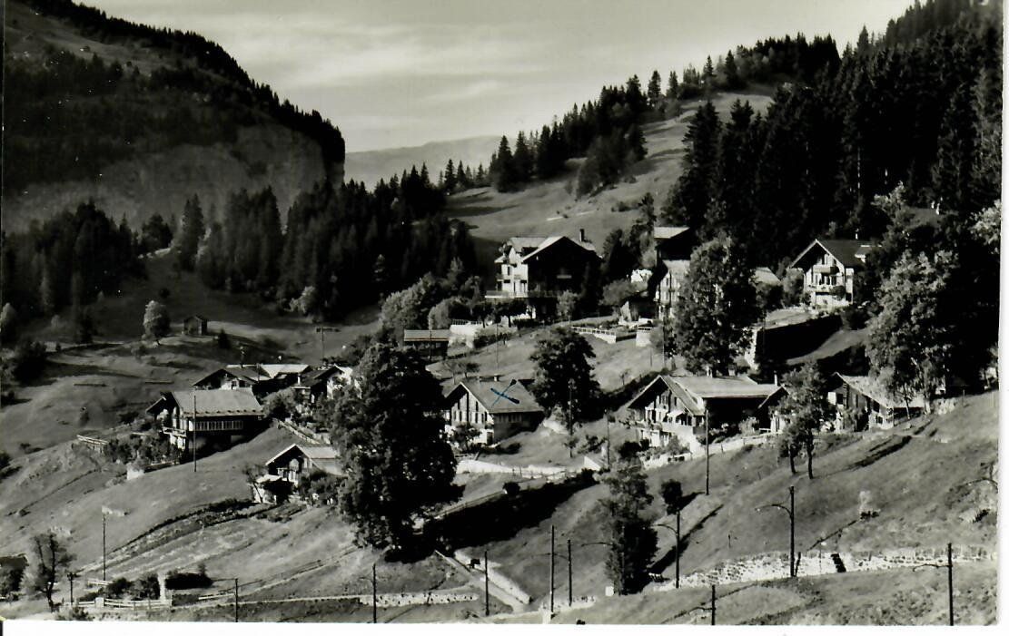 Cartoline postali: Wengen, Trogihalten 1953 – Usato da Hochdorf venduto da Ziegel-16