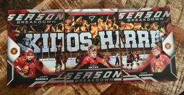 SportZoo Season Breakdown SCL Tigers Langnau