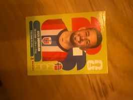 Panini