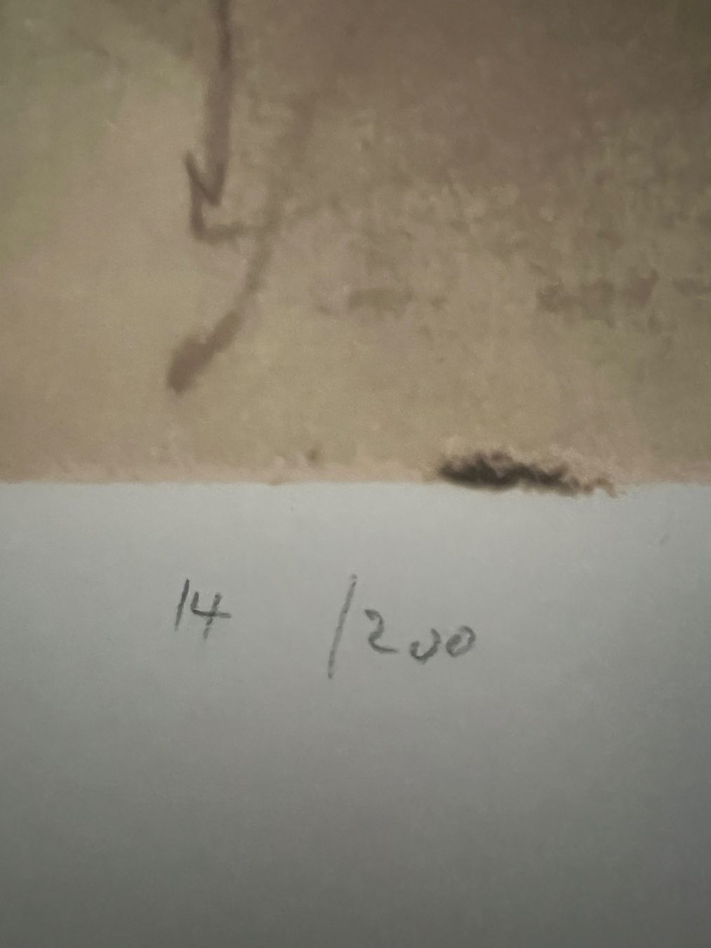 Grafica & Litografie: Falk Hans, handsigniert und nummeriert – Usato da Rain venduto da Pic-Ass 4