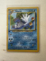 Têtarte ed1 Neo Discovery