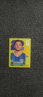 Panini FIFA World Cup 2026 Sticker - BIH 17 Ermedin Demirovi