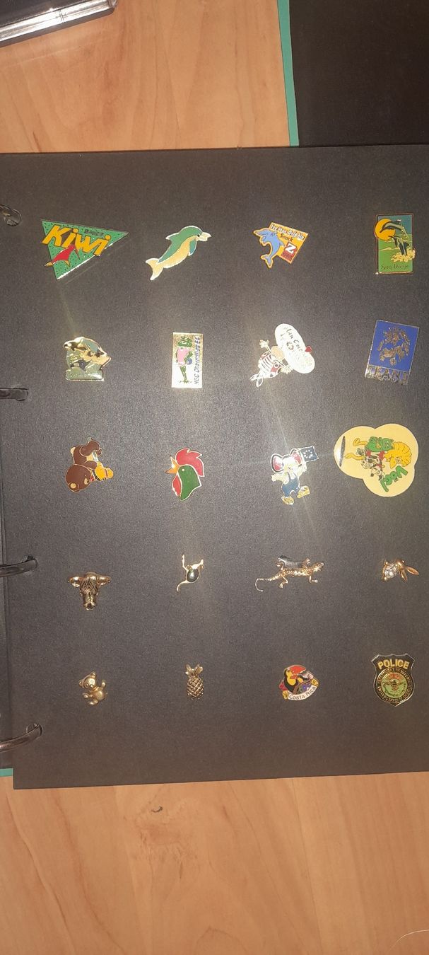 Placchette & Badge: Collection de Pin's divers - Classeurs inclus – Usato da Gals venduto da Ben-j 5