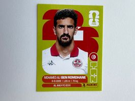 Panini FIFA WORLD CUP Mohamed Ali Ben Romdhane TUN 12