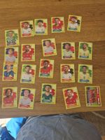 Sammelbildchen Fussball WM 2026 Panini 