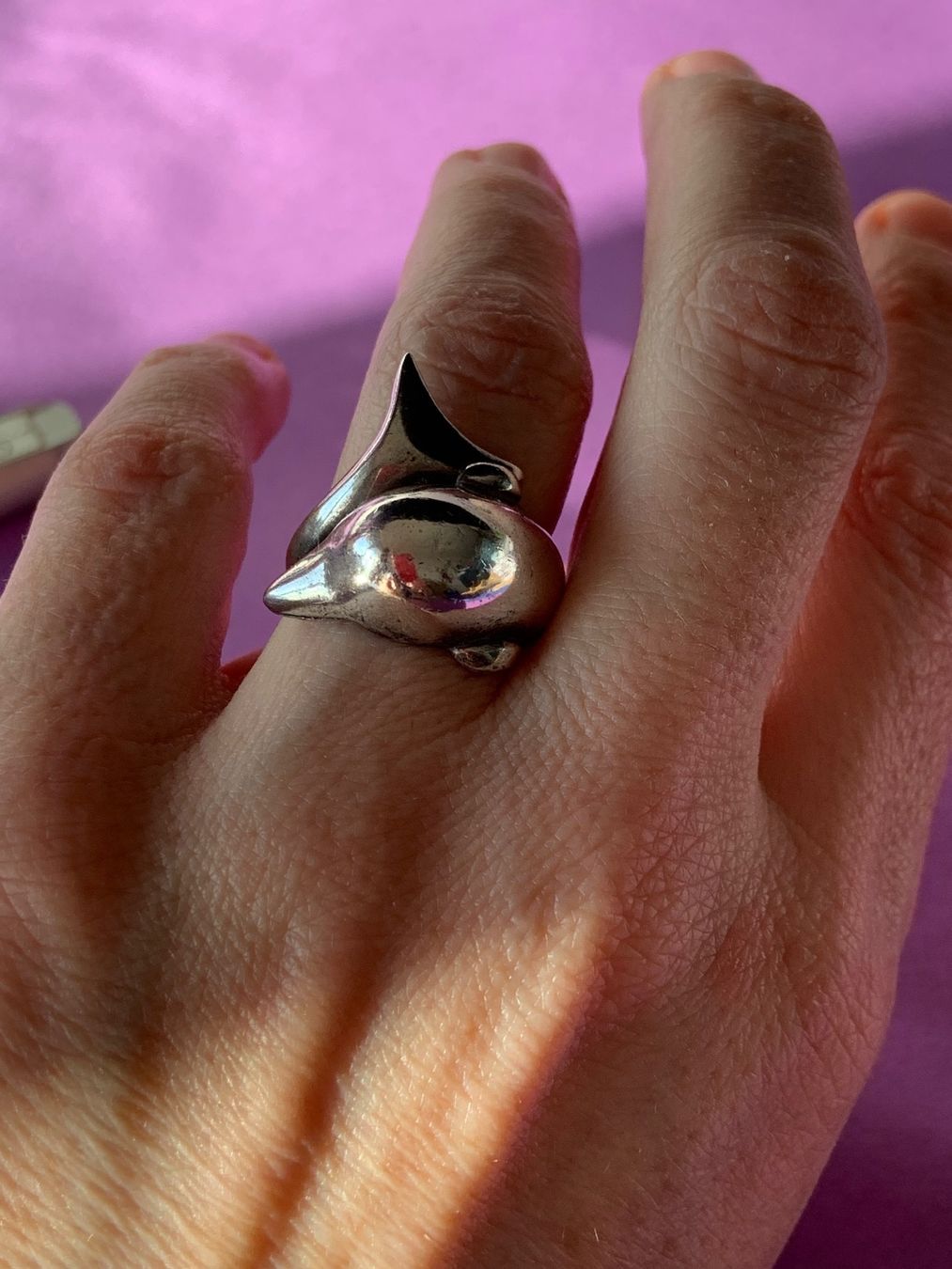 Ringe: Silberring DELPHIN umschlungen (55) – Gebraucht aus Dittingen von Bellevista 2