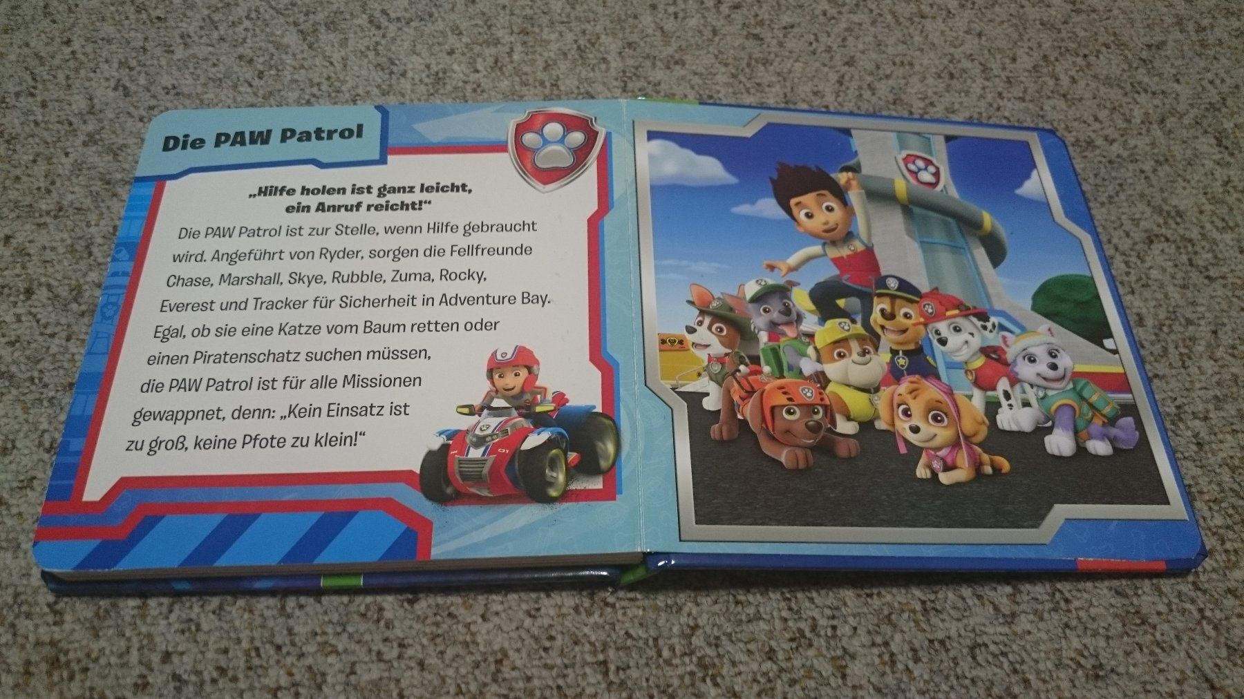 Puzzle: Paw Patrol Puzzle-Buch – Usato da Wiler b.Utzenstorf venduto da Hallucino6 5
