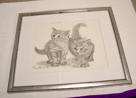 Originalzeichnung "zwei jungen Katzen" Angebot gilt - 31.10.