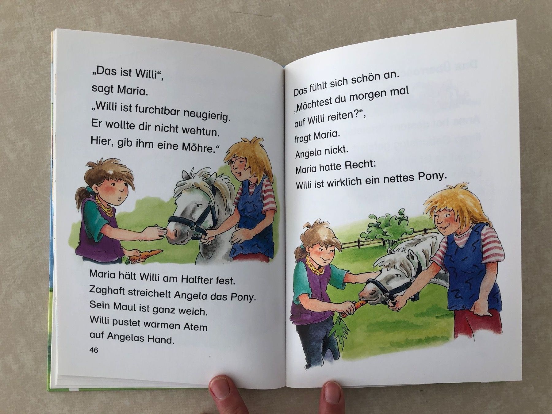 Libri: Kinderbuch "Ponygeschichten" – Nuovo (secondo la descrizione) da Balzers venduto da Kubus 4