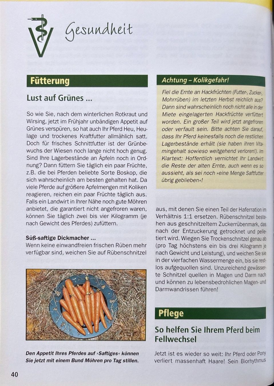 Bücher: Pferd und Reiter rund ums Jahr – Neu (gemäss Beschreibung) aus Sarnen von Livres 7