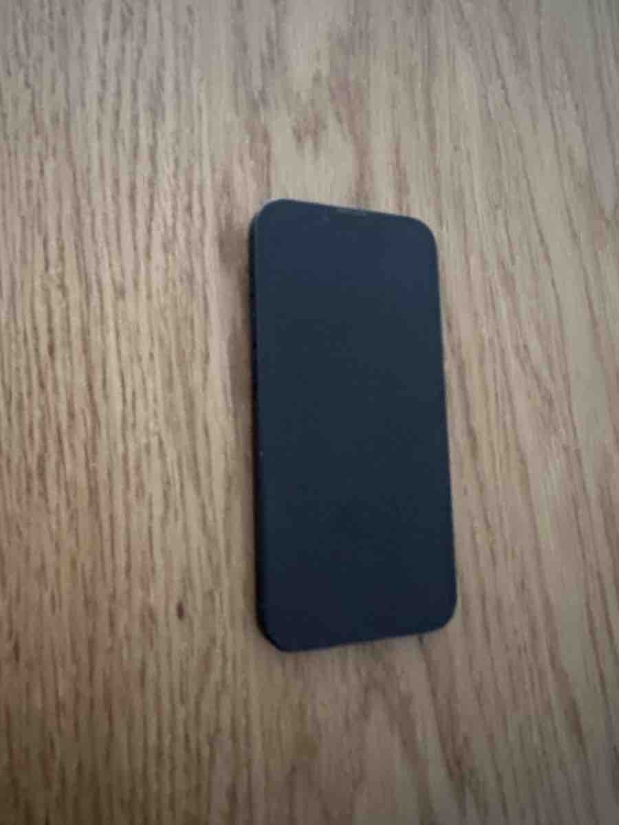 Apple Telefoni cellulari / Smartphones: iPhone 16e Smartphone schwarz – Difettoso da Chur venduto da lululemooon 1