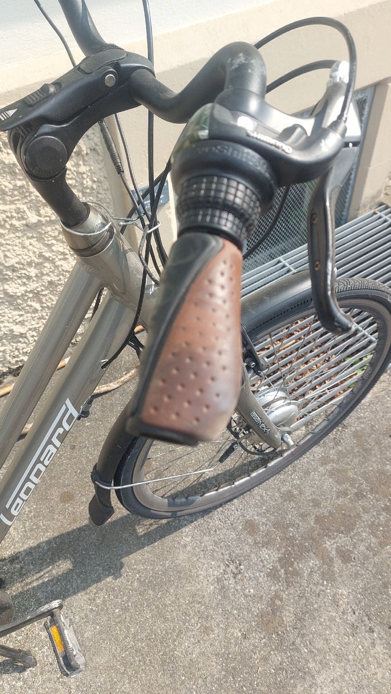 Leopard Velos: Leopard Elektro Velo gebraucht   – Gebraucht aus Solothurn von ewerus 5