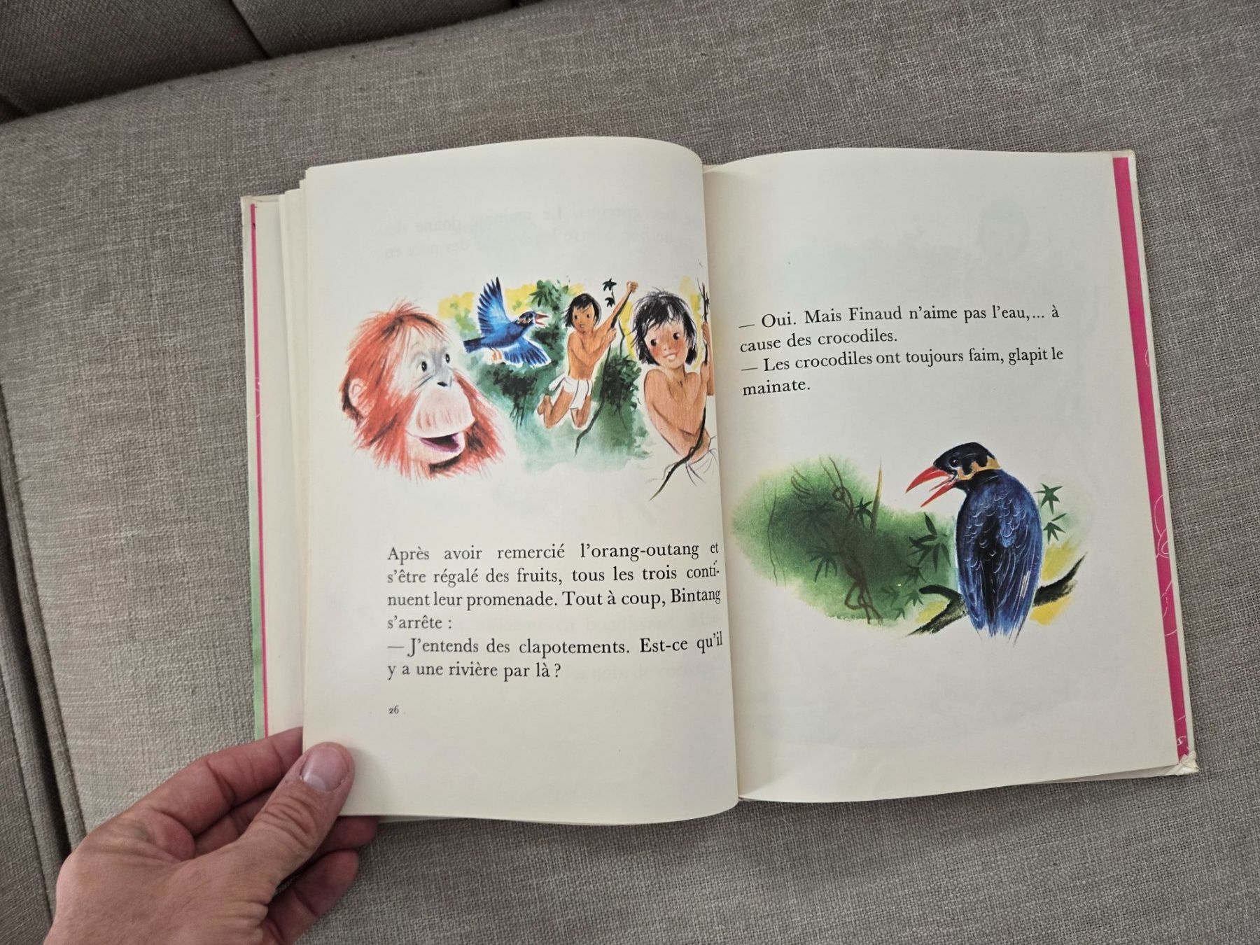 Libri: Bintang et l'oiseau malin – Usato da Crémines venduto da Blakedrake 6