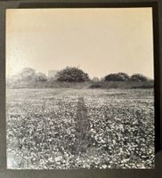Germano Celant: Arte Povera. EA 1969