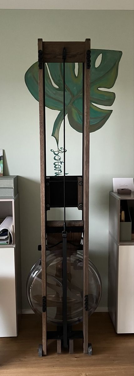 WaterRower Hometrainer: Water Rower Eiche Vintage – Nuovo (secondo la descrizione) da Muhen venduto da Mloulou 4