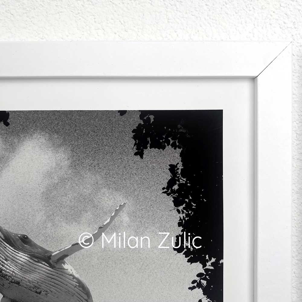 Foto & Immagini: Travel postcards 009 – Nuovo (secondo la descrizione) da Uetikon am See venduto da mil_7k2b 2