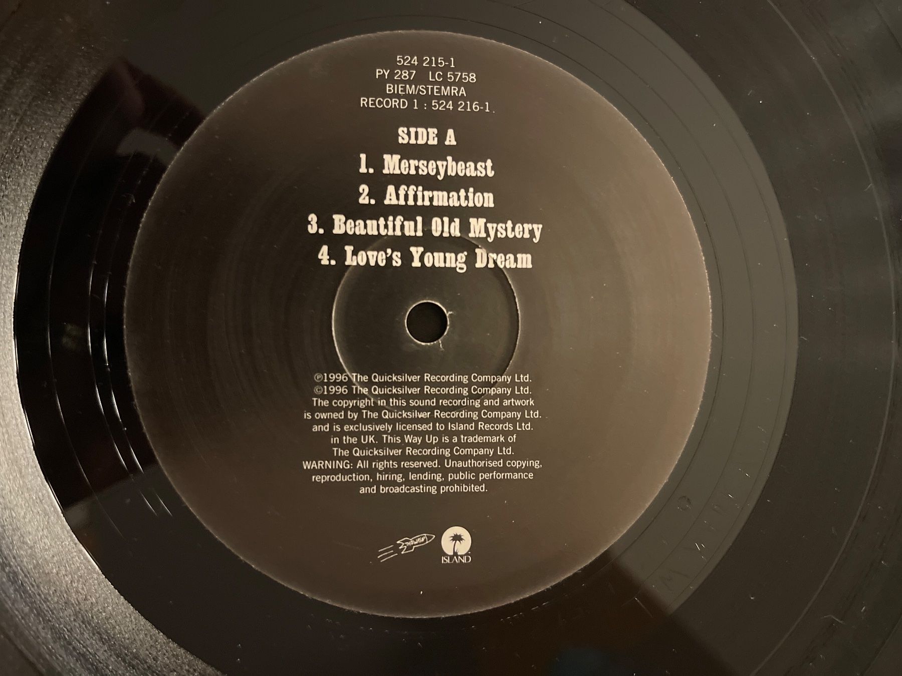 Dischi in vinile: S1529/Ian McNabb - Merseybeast – Usato da Frutigen venduto da Philippe_jsp 3