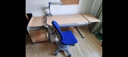 moll Schreibtisch, Schubladenkorpus, Bürostuhl, Pultlampe