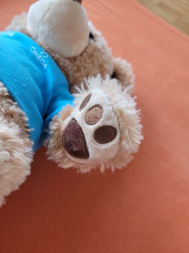 Spielzeuge: Original Omega Orbis Teddybär der Hilfsorganisation Orbis – Gebraucht aus Altdorf UR von Nordwing 5