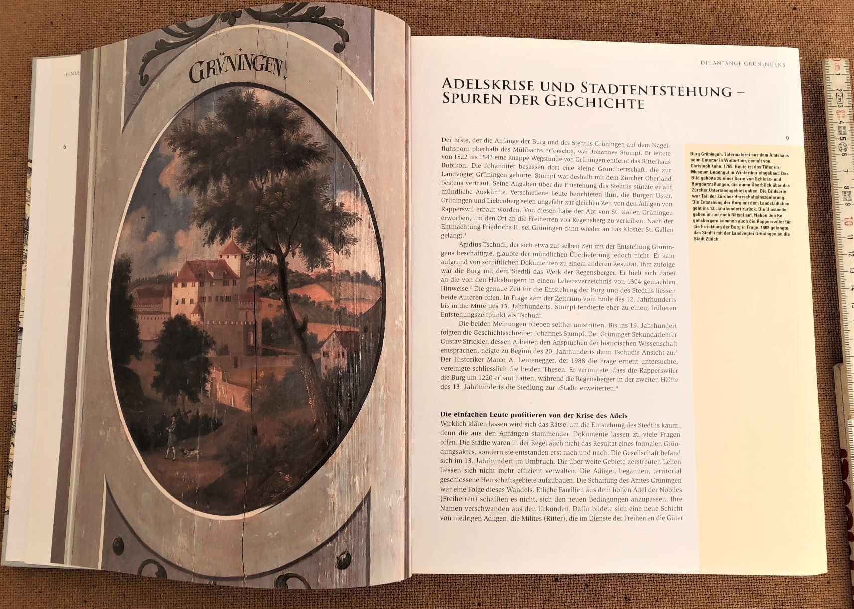 Libri: Geschichte Grüningen – Usato da Uster venduto da htm1 2