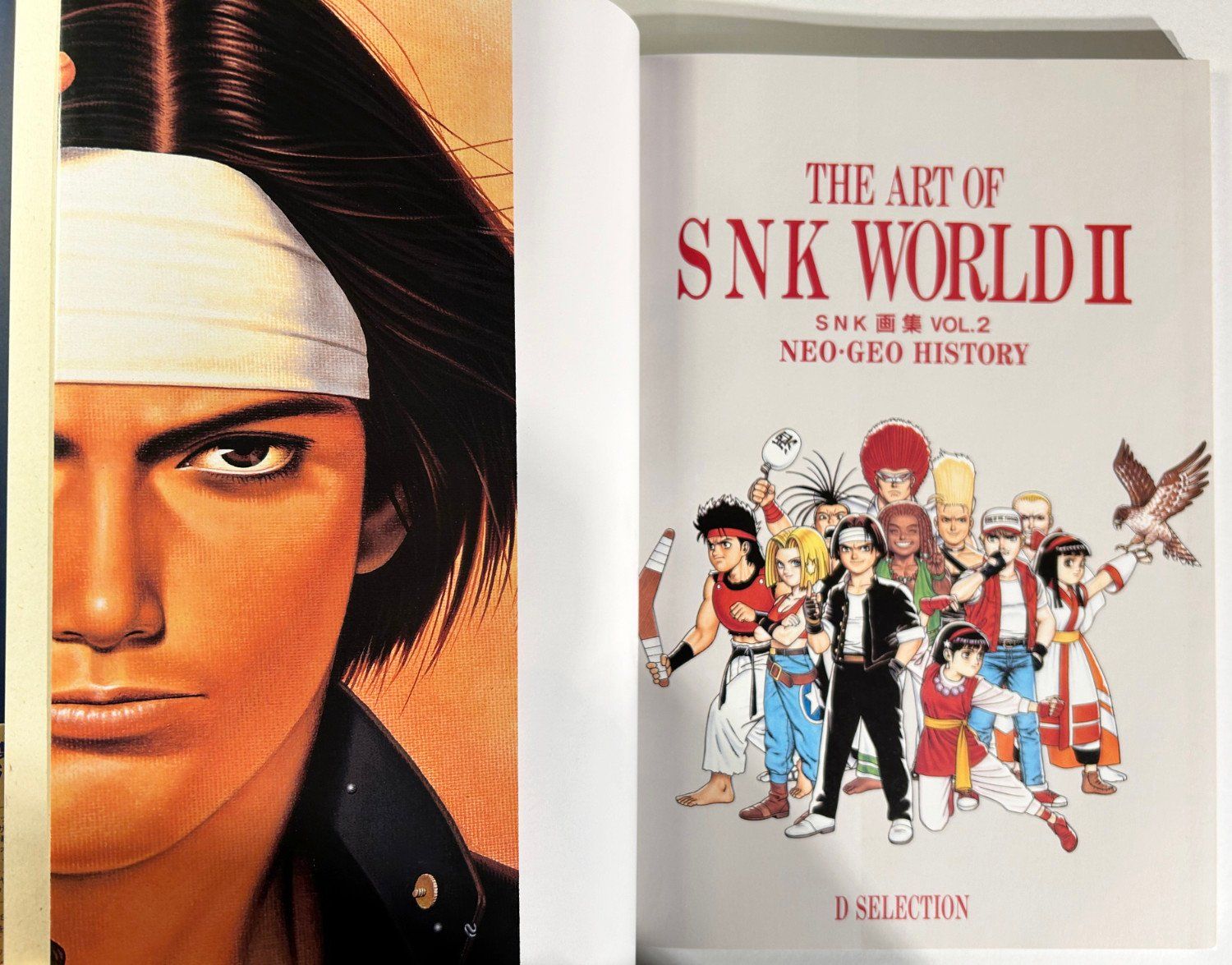 Art book - ART OF SNK WORLD - VOL. 2 (1995) (Usato) a Giffers per