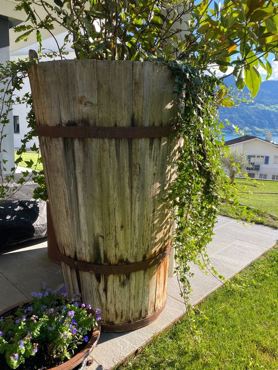 Antiker Holzbottich Holzzuber Holzfass Kaufen auf Ricardo